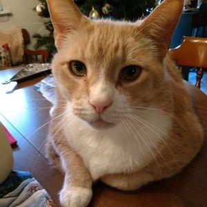 Meet your Posher, June